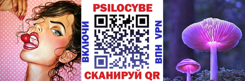Псилоцибиновые грибы мицелий  Купить где  Алексеевка 